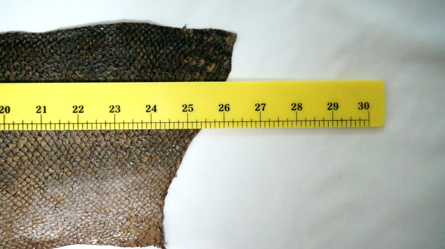 Glossy Coating Camel Brown Salmon Leather