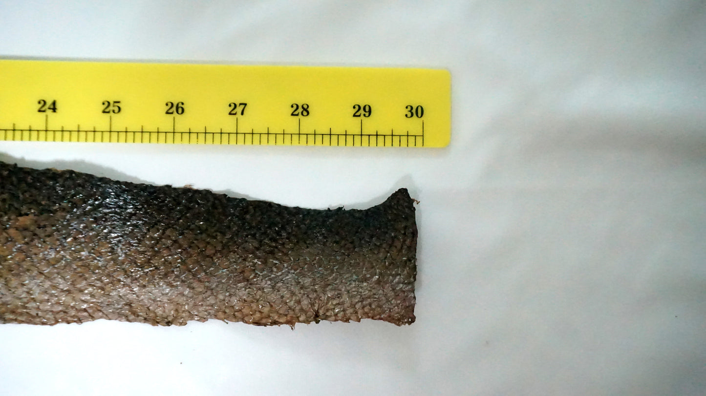 Glossy Coating Camel Brown Salmon Leather